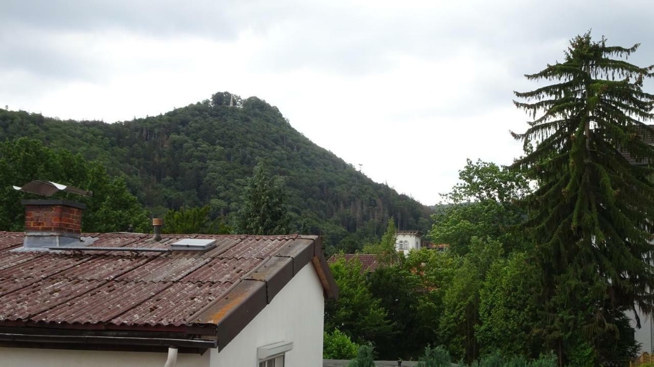 Ferienwohnung Loma Bad Harzburg Esterno foto